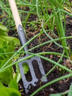 Gardener's Lifetime Spork 10 Gardener's Lifetime Spork -Best Garden Care Shop 8586973 2383 tif