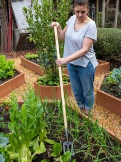 Gardener's Lifetime Spork 11 Gardener's Lifetime Spork -Best Garden Care Shop 8586973 2405 tif