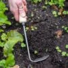 Gardener's Lifetime Cape Cod Weeder, Right-Handed -Best Garden Care Shop 8586974 2361 tif