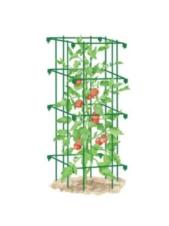 Tomato Cage, Single -Best Garden Care Shop 8587039 TomatoCage GRN tif