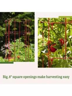 Tomato Cages, Set Of 4 -Best Garden Care Shop 8587040 2
