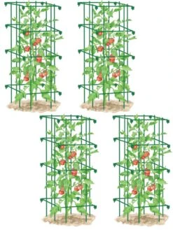 Tomato Cages, Set Of 4 -Best Garden Care Shop 8587040 GR 001E tif