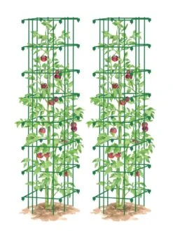 Tomato Towers, Set Of 2 -Best Garden Care Shop 8587041 0006 GRN tif