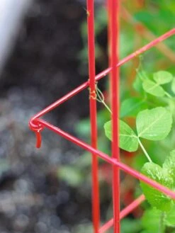 Tall Expandable Pea Trellis -Best Garden Care Shop 8587061 010 tif