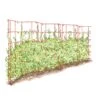 Expandable Pea Trellis 1 Expandable Pea Trellis -Best Garden Care Shop 8587061 PeaFence Red 001E tif