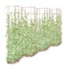 Tall Expandable Pea Trellis -Best Garden Care Shop 8587062 0001 RED tall expandable pea trelis tif