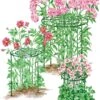 Grow Through Supports, Set Of 3 -Best Garden Care Shop 8587111RS 001E 1