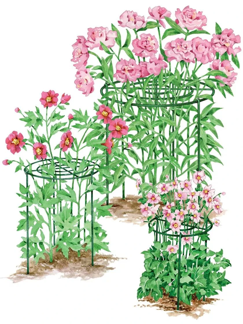 Grow Through Supports, Set Of 3 3 Grow Through Supports, Set Of 3