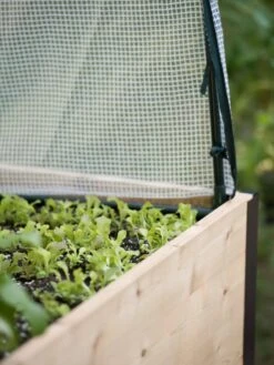 Elevated Planter Box, Frame And 2 Covers Kit, 2' X 8' 10 Elevated Planter Box, Frame And 2 Covers Kit, 2' X 8' -Best Garden Care Shop 8587631 265 tif