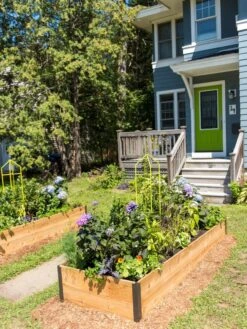 Zenith Folding Garden Supports, Set Of 2 -Best Garden Care Shop 8587807 0801 tif