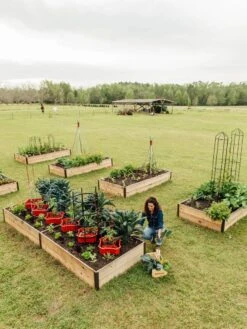 Deep Root Raised Beds, 14" Deep 4' Wide -Best Garden Care Shop 8587813 505 tif