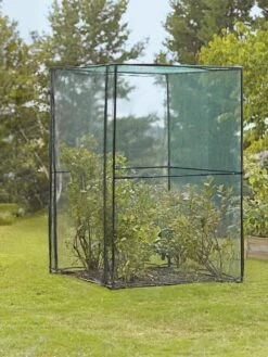 Crop Cage, 4' X 4' -Best Garden Care Shop 8587832 149 tif