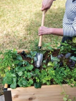 Gardener's Lifetime Raised Bed Trowel 7 Gardener's Lifetime Raised Bed Trowel -Best Garden Care Shop 8588014 4084 tif