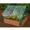 Extendable Cold Frame Greenhouse -Best Garden Care Shop 8588247 03V extendable cold frame greenhouse