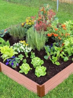 Composite Raised Bed With 1" Boards, 11" 24 Composite Raised Bed With 1" Boards, 11" -Best Garden Care Shop 8588274 03V tif