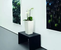 Lechuza® Cubico Color Tall Self-Watering Planters -Best Garden Care Shop 8589485 03V tif