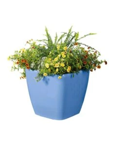 Viva Square Self-Watering Rolling Planter, 14" Diameter -Best Garden Care Shop 8589777BL 6080 tif