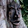 Friendly Ent Tree Face -Best Garden Care Shop 8589841 001v
