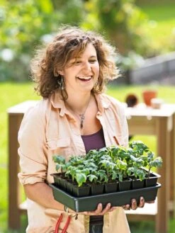 Growease Seed Starter Kit -Best Garden Care Shop 8589987 0446 tif