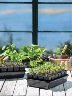 Growease Seed Starter Kit -Best Garden Care Shop 8589987 7871 tif