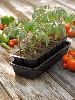 Growease Seed Starter Kit -Best Garden Care Shop 8589988 1056 tif