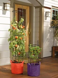 Gardener's Best® Tomato Grow Bag Set 9 Gardener's Best® Tomato Grow Bag Set -Best Garden Care Shop 8590013 170 tif