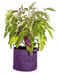 Gardener's Best® Universal Grow Bag -Best Garden Care Shop 8590024PR 214 tif