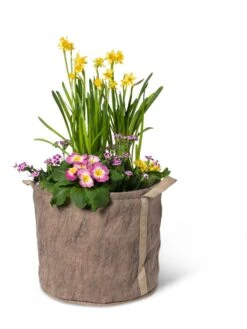 Gardener's Best® Universal Grow Bag -Best Garden Care Shop 8590024 7307 tif