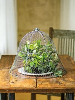 Chicken Wire Cloche -Best Garden Care Shop 8590210 1 tif