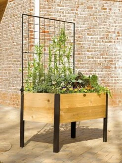 Elevated Planter Box And Space-Maker Pivoting Trellis Set, 2' X 4' 11 Elevated Planter Box And Space-Maker Pivoting Trellis Set, 2' X 4' -Best Garden Care Shop 8590247 550 tif