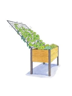 Elevated Planter Box And Space-Maker Pivoting Trellis Set, 2' X 4' 9 Elevated Planter Box And Space-Maker Pivoting Trellis Set, 2' X 4' -Best Garden Care Shop 8590247 SMTrellis 4ft tif