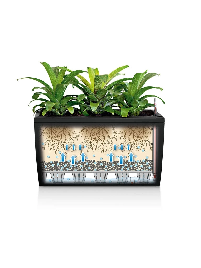 Lechuza® Cararo Rectangular Indoor Planter With Casters 4 Lechuza® Cararo Rectangular Indoor Planter With Casters - Image 2