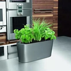 Lechuza® Delta Self-Watering Windowsill Planters 13 Lechuza® Delta Self-Watering Windowsill Planters -Best Garden Care Shop 8590298 02V tif