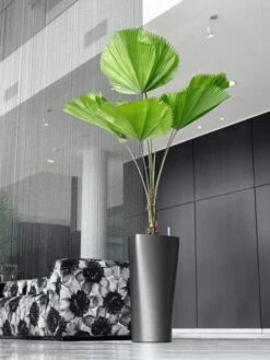 Lechuza® Delta Premium Self-Watering Planters -Best Garden Care Shop 8590299 02V tif