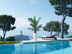 Lechuza® Delta Premium Self-Watering Planters -Best Garden Care Shop 8590299 04V tif