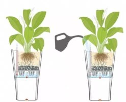 Lechuza® Delta Premium Self-Watering Planters -Best Garden Care Shop 8590299 07V tif