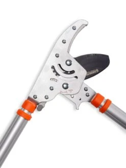 Telescoping Ratchet Loppers -Best Garden Care Shop 8591285 025 tif