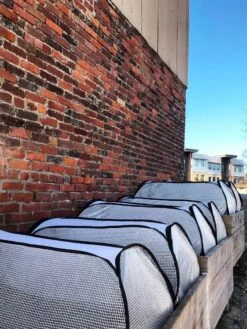 Row Shelter Accelerator -Best Garden Care Shop 8591990 01IN tif