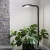 Agrobrite Floor Plant Lamp -Best Garden Care Shop 8592053 0215 tif