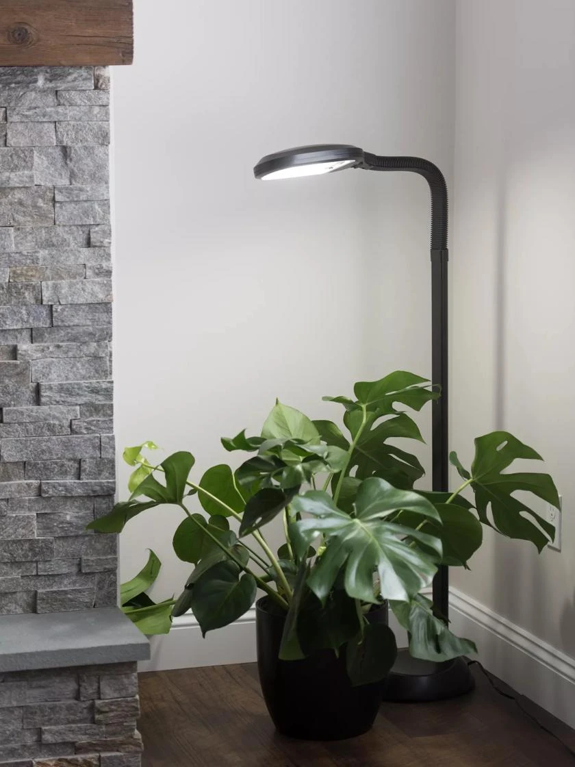 Agrobrite Floor Plant Lamp 3 Agrobrite Floor Plant Lamp
