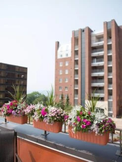 Adjustable Self-Watering Railing Planter, 24" -Best Garden Care Shop 8592173TC 2383 tif