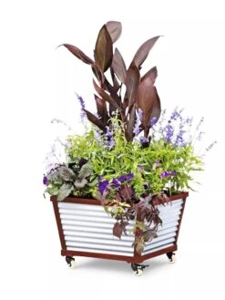 Galvanized Self-Watering Planters -Best Garden Care Shop 8592176 5067 tif