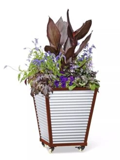 Galvanized Self-Watering Planters -Best Garden Care Shop 8592177 5066 tif