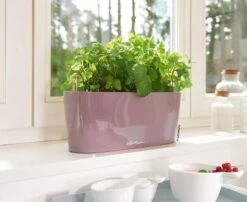 Lechuza® Delta Self-Watering Windowsill Planters 14 Lechuza® Delta Self-Watering Windowsill Planters -Best Garden Care Shop 8592361 01V tif