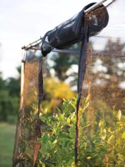 Storm Proof Crop Cage, Large -Best Garden Care Shop 8592463 115 tif