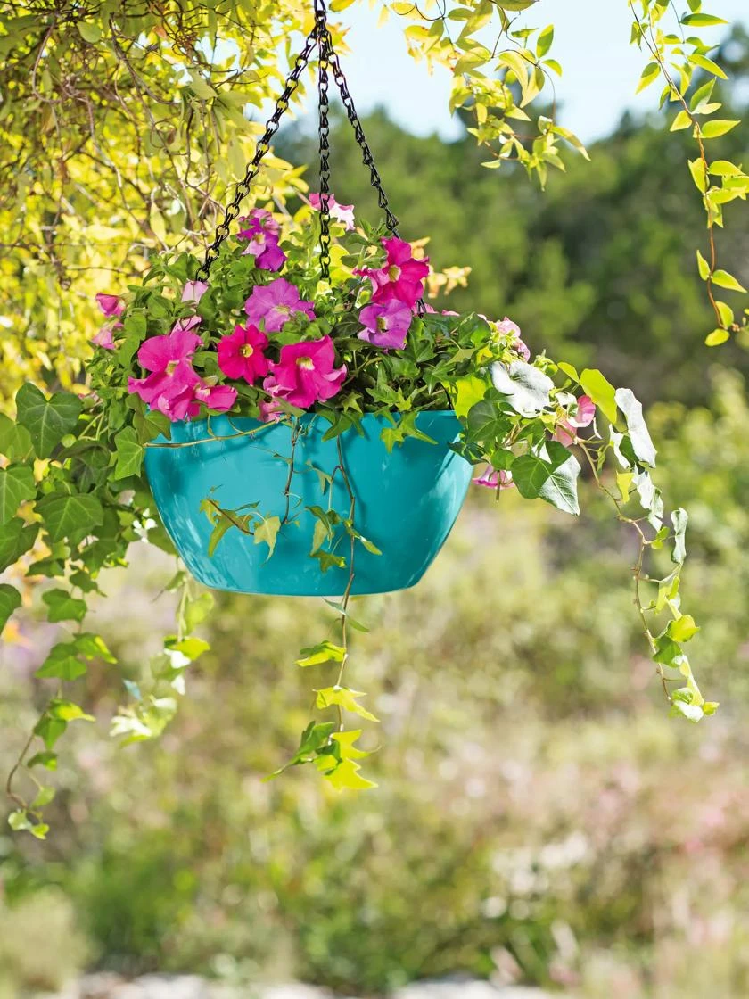 Viva Self-Watering Hanging Basket, 11" Diameter 4 Viva Self-Watering Hanging Basket, 11" Diameter - Image 2