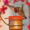 Copper Hummingbird Feeder -Best Garden Care Shop 8593301 001V tif