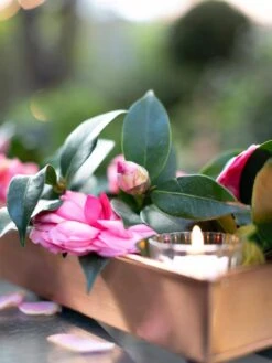 Rectangular Copper Plant Tray, 18"x4" -Best Garden Care Shop 8593532 02IN tif