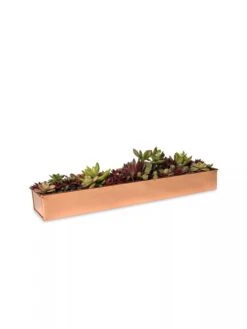 Rectangular Copper Plant Tray, 18"x4" -Best Garden Care Shop 8593532 2892 tif