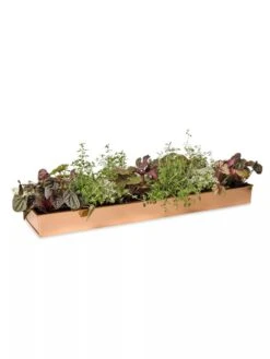 Rectangular Copper Plant Tray, 24" X 5" -Best Garden Care Shop 8593533 2878 tif